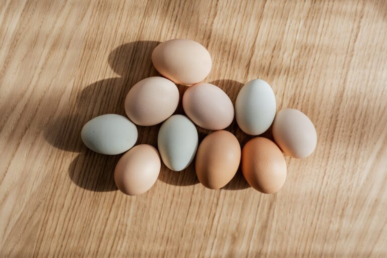 L’ovulation : le 5ème signe vital