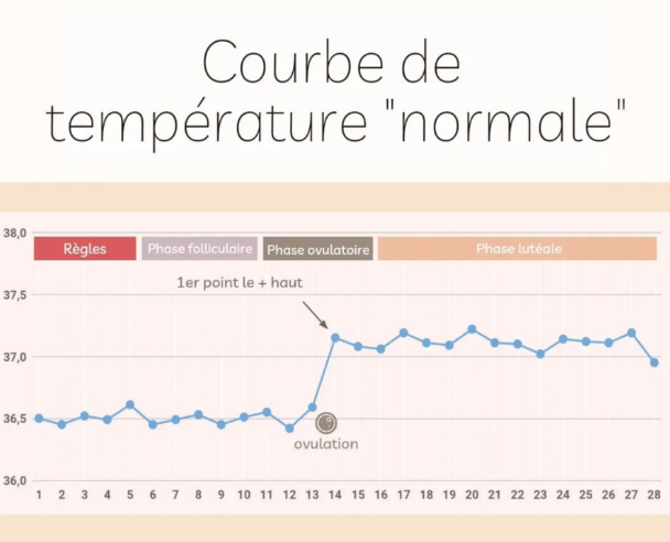 symptothermie courbe température