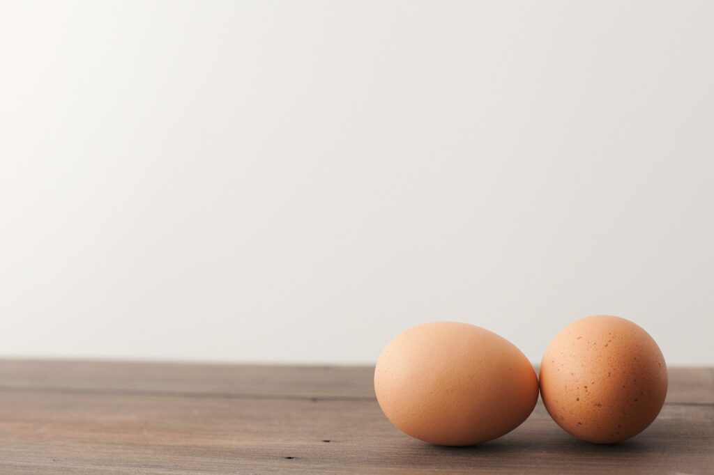 Tout savoir sur la double ovulation