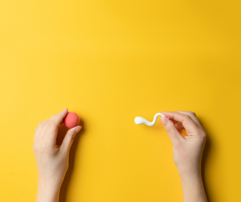 FIV 8 conseils après un transfert d’embryon Alice Monney