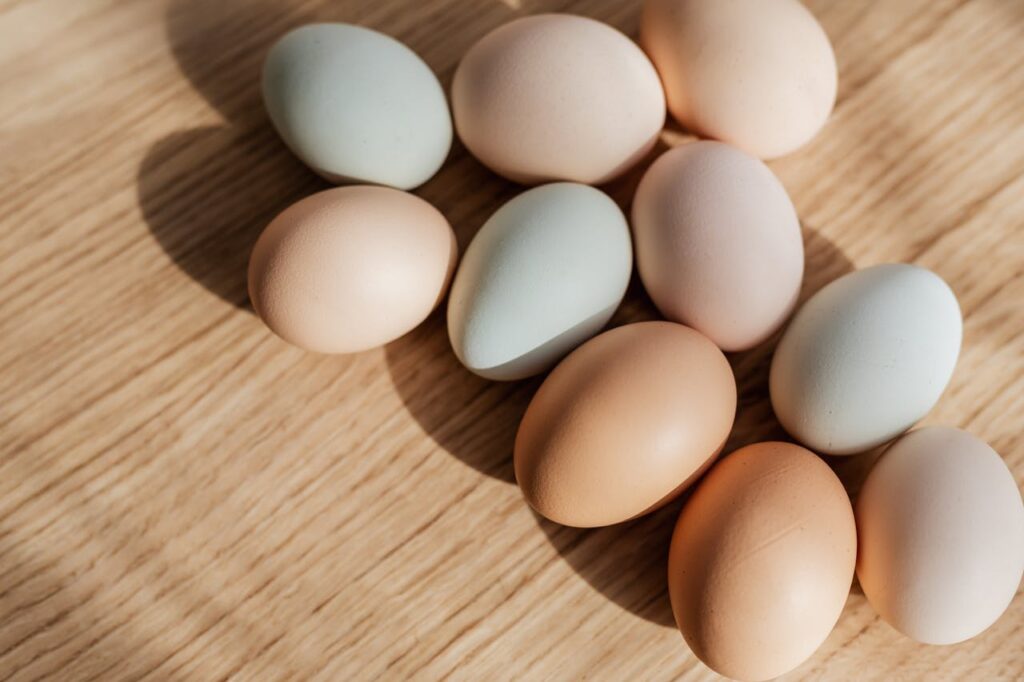 Quelle alimentation pour améliorer la qualité des ovocytes ?