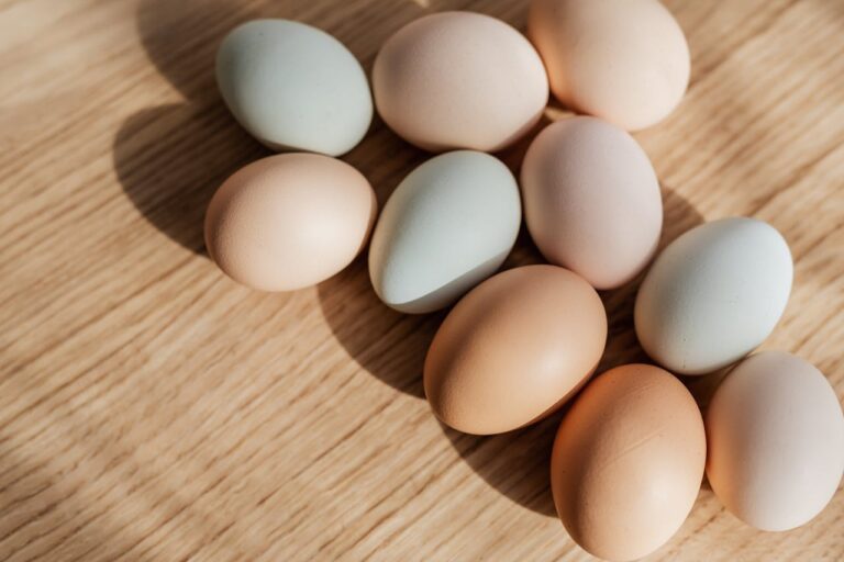 Quelle alimentation pour améliorer la qualité des ovocytes ?