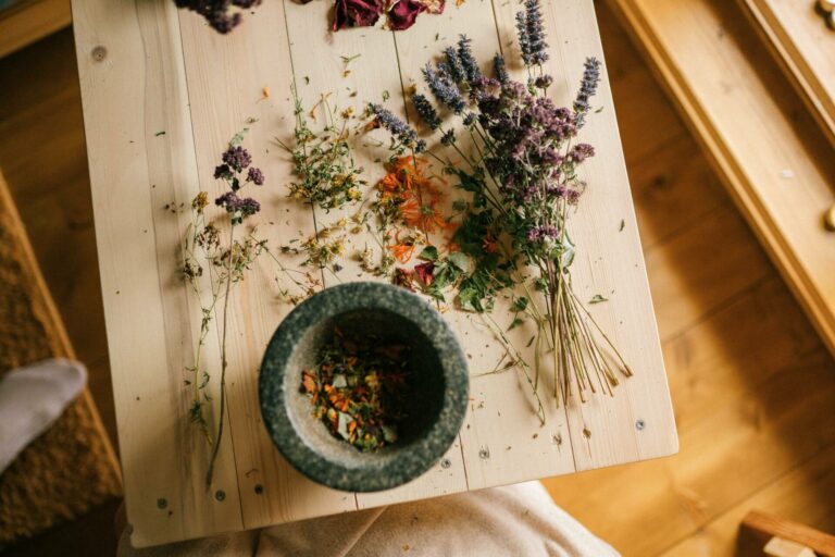 Santé féminine : quelle plante régulatrice d’hormones choisir ?