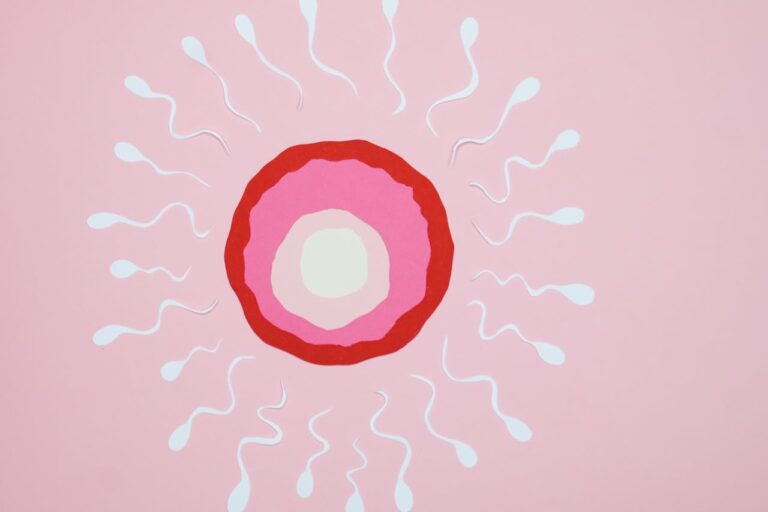Fertilité après une fausse couche : comment tomber enceinte après une fausse couche ?