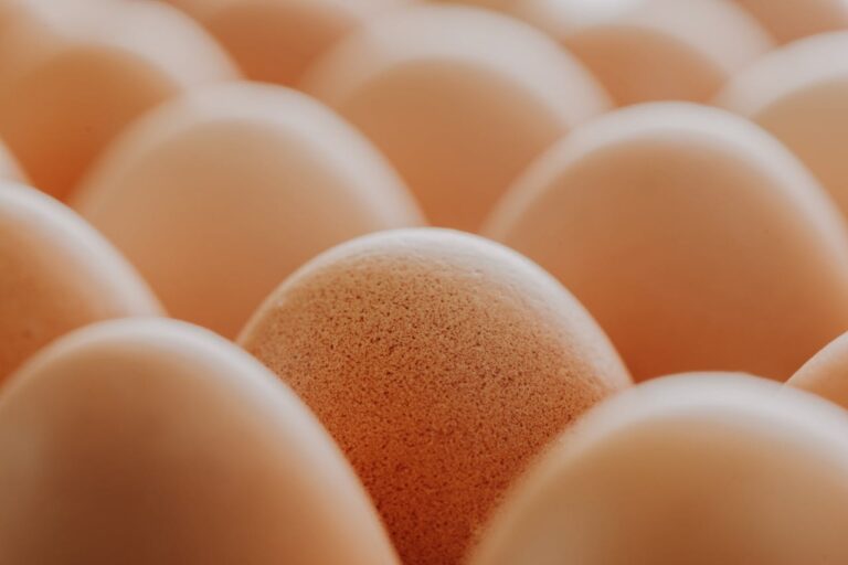 Reconnaître une ovulation tardive : symptômes et impacts sur la fertilité