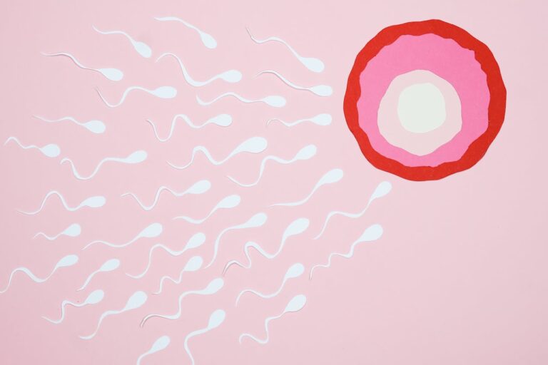 20 causes d’infertilité masculine