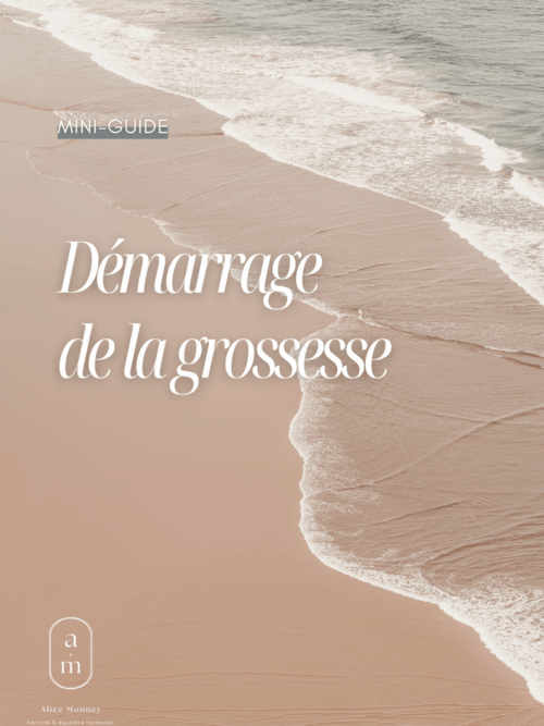 Couverture Mini Guide grossesse
