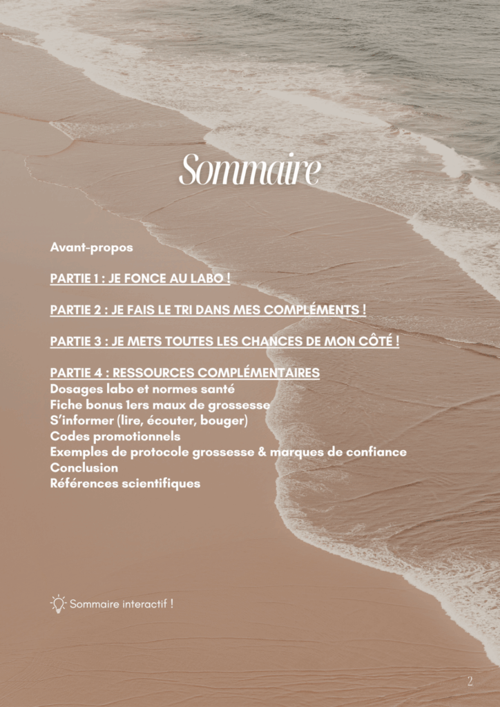 Sommaire Mini Guide Grossesse