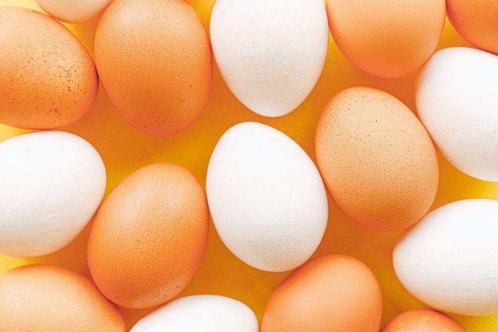 Double ovulation : mythe ou réalité ?