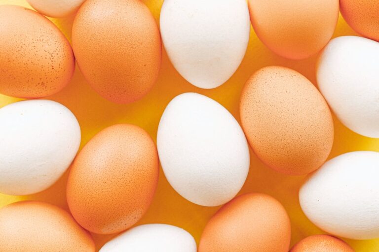 Double ovulation : mythe ou réalité ?