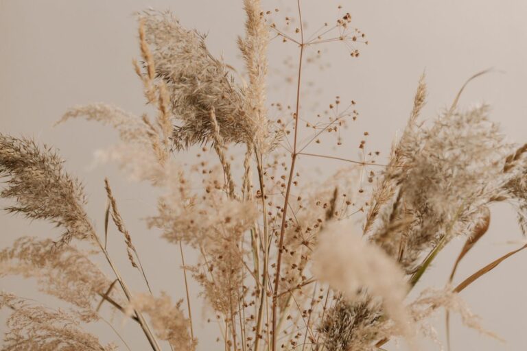 Acide folique et grossesse : dosage, durée et conseils